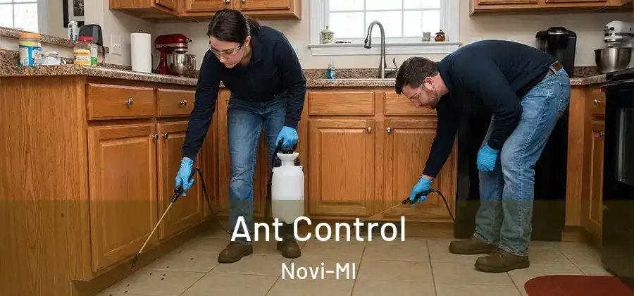 Ant Control Novi-MI