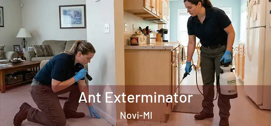 Ant Exterminator Novi-MI