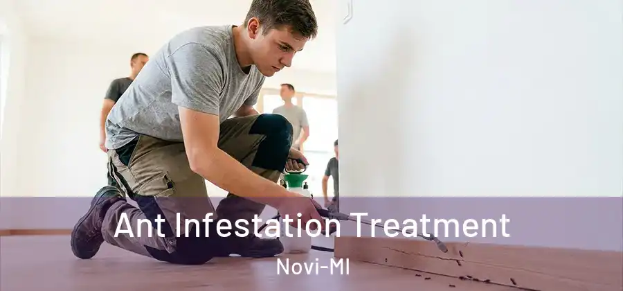 Ant Infestation Treatment Novi-MI
