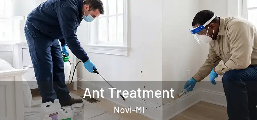 Ant Treatment Novi-MI