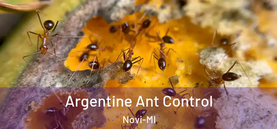  Argentine Ant Control Novi-MI