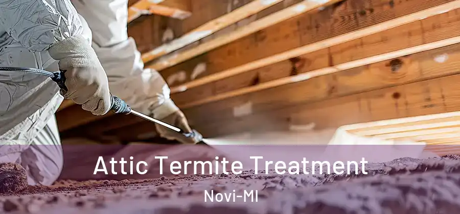 Attic Termite Treatment Novi-MI
