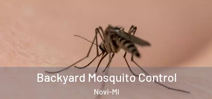  Backyard Mosquito Control Novi-MI