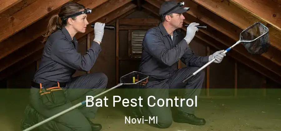 Bat Pest Control Novi-MI