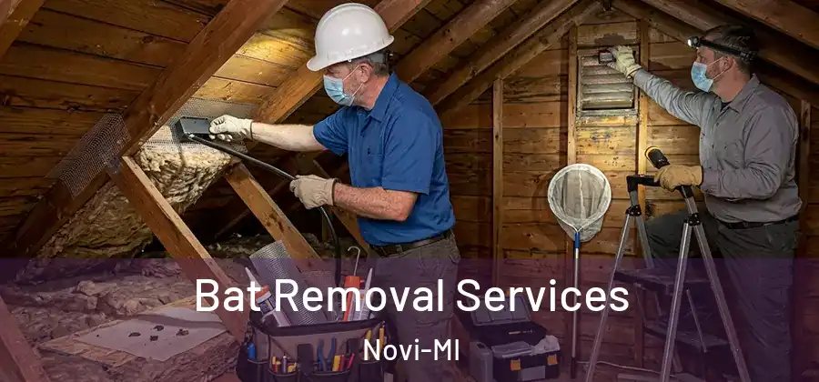 Bat Removal Services Novi-MI