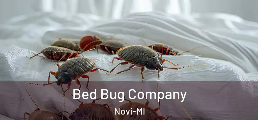 Bed Bug Company Novi-MI