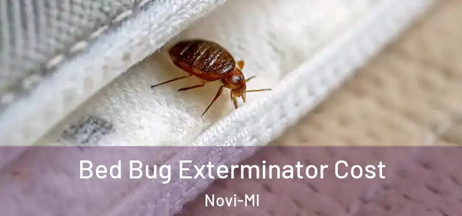 Bed Bug Exterminator Cost Novi-MI