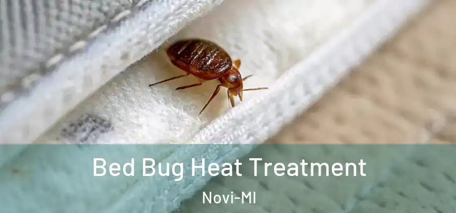  Bed Bug Heat Treatment Novi-MI