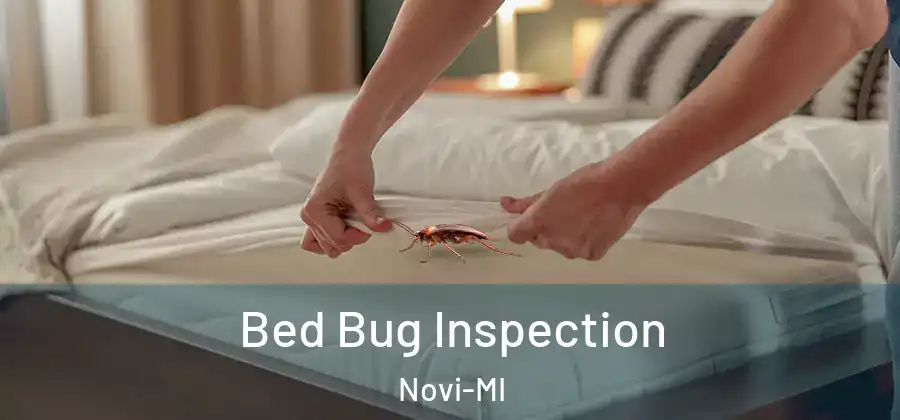 Bed Bug Inspection Novi-MI