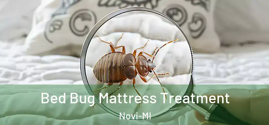 Bed Bug Mattress Treatment Novi-MI