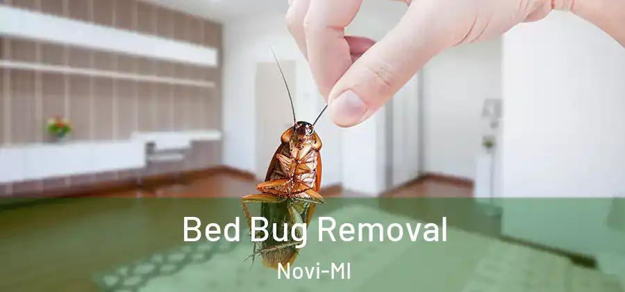  Bed Bug Removal Novi-MI