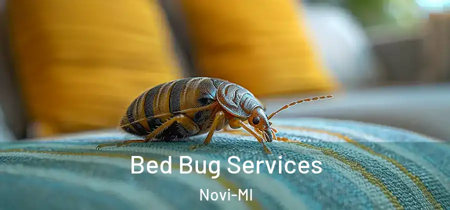  Bed Bug Services Novi-MI