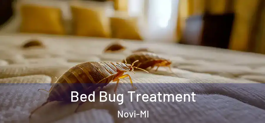 Bed Bug Treatment Novi-MI