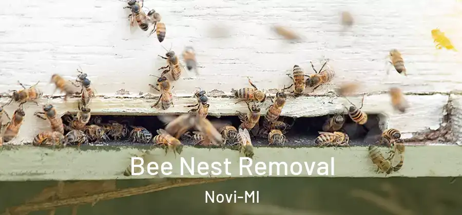 Bee Nest Removal Novi-MI