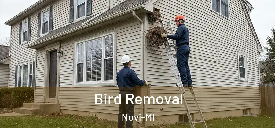 Bird Removal Novi-MI
