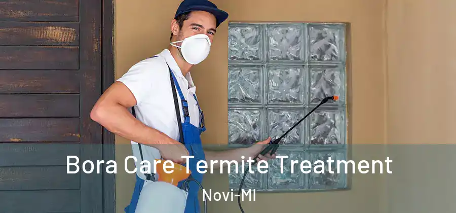  Bora Care Termite Treatment Novi-MI