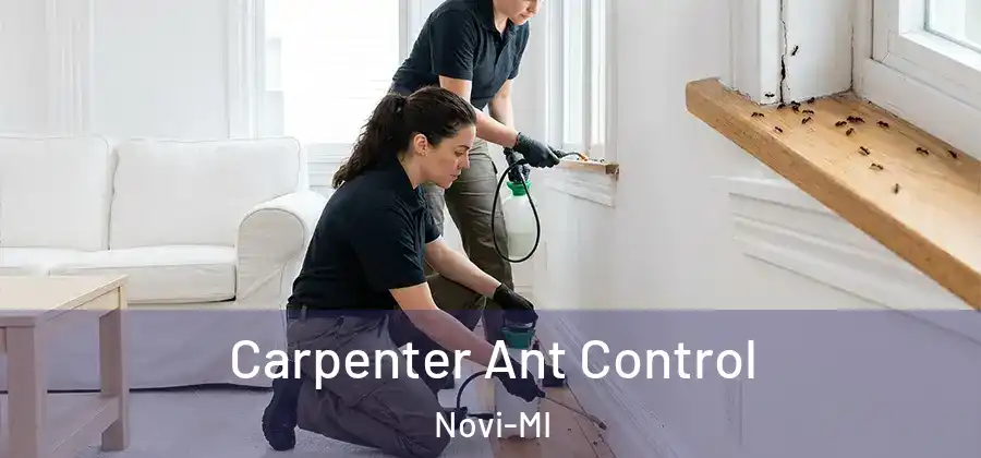 Carpenter Ant Control Novi-MI
