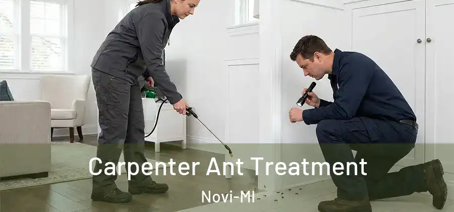  Carpenter Ant Treatment Novi-MI