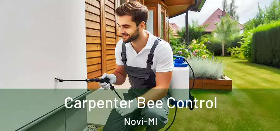 Carpenter Bee Control Novi-MI