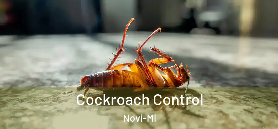  Cockroach Control Novi-MI