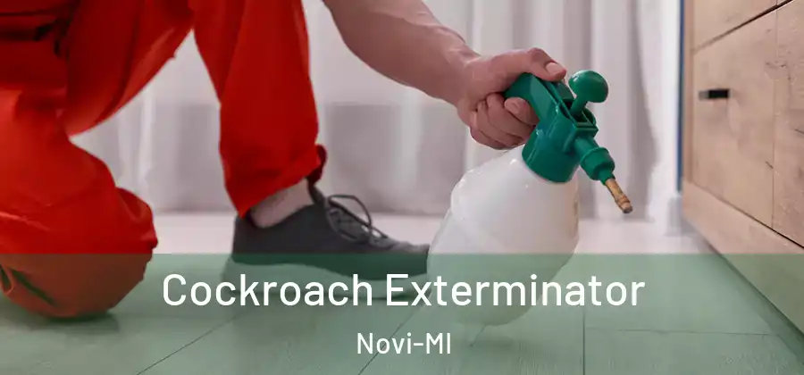 Cockroach Exterminator Novi-MI