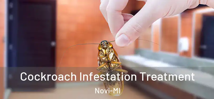  Cockroach Infestation Treatment Novi-MI