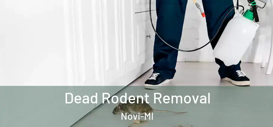  Dead Rodent Removal Novi-MI