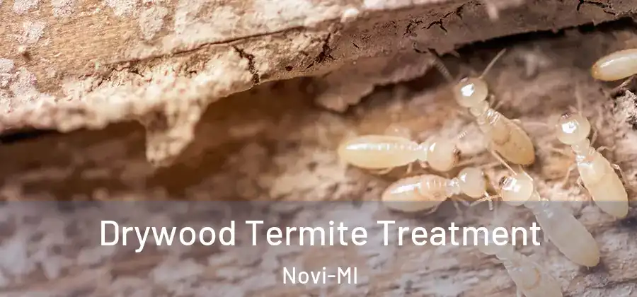  Drywood Termite Treatment Novi-MI