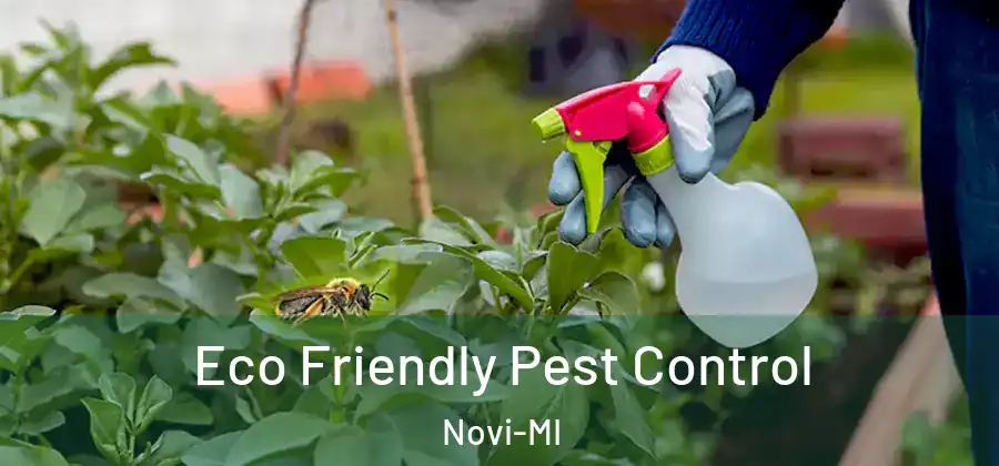 Eco Friendly Pest Control Novi-MI
