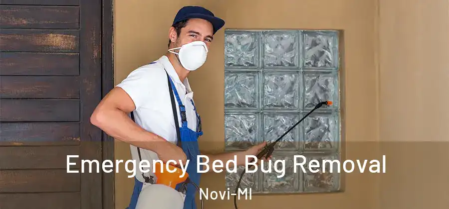 Emergency Bed Bug Removal Novi-MI