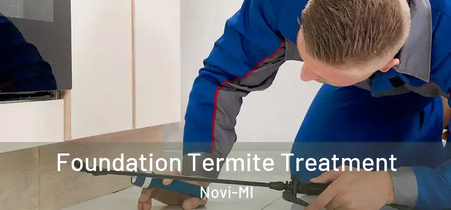 Foundation Termite Treatment Novi-MI