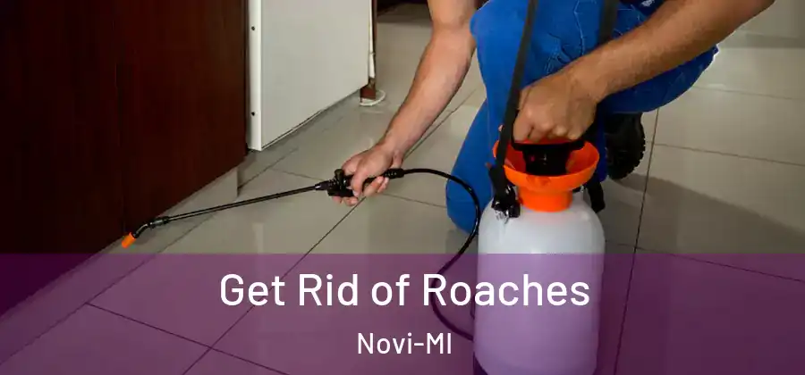 Get Rid of Roaches Novi-MI