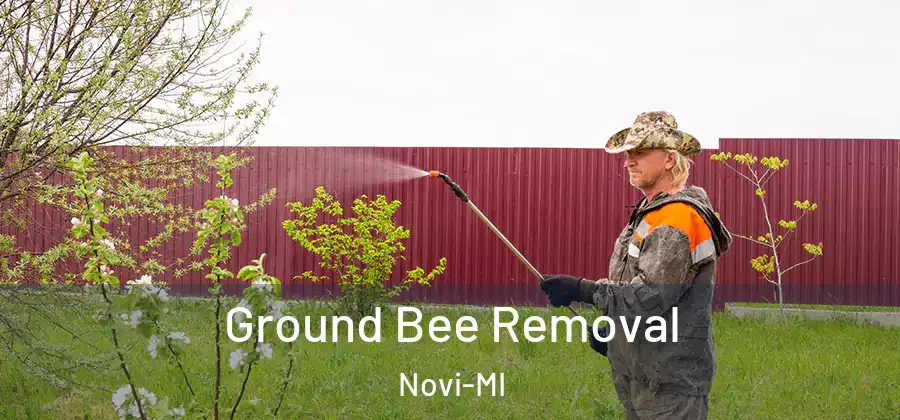  Ground Bee Removal Novi-MI