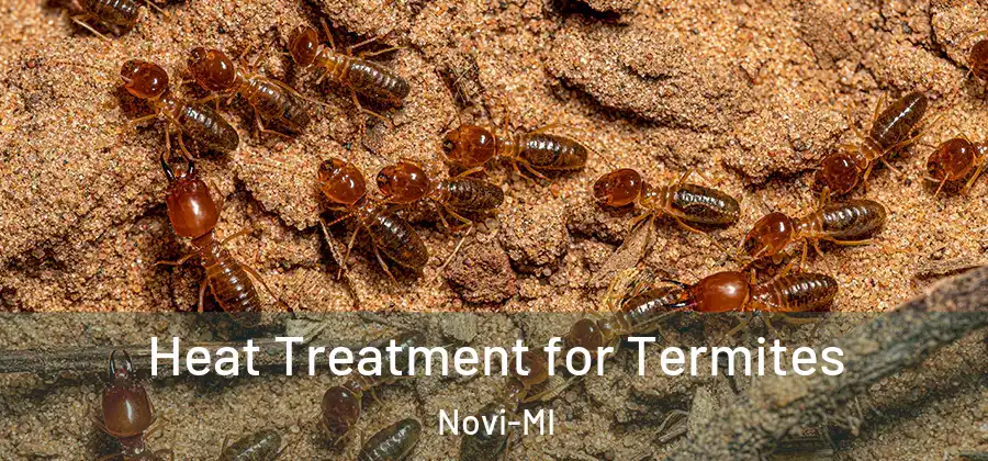 Heat Treatment for Termites Novi-MI