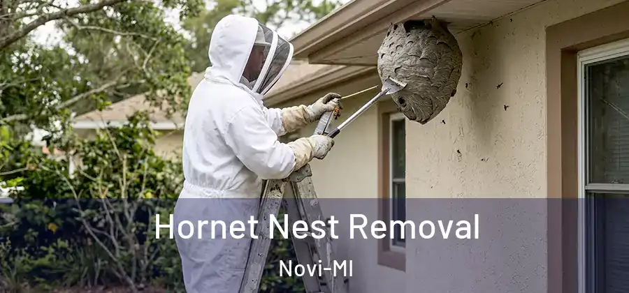  Hornet Nest Removal Novi-MI