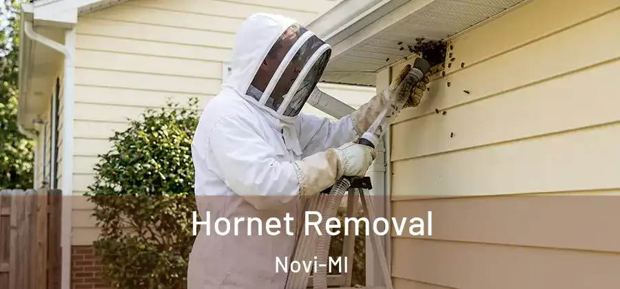 Hornet Removal Novi-MI