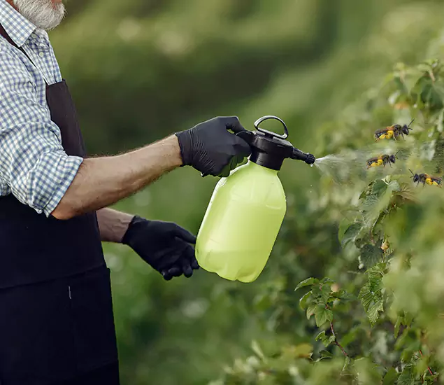 Your Carpenter Bee Service in Novi, MI