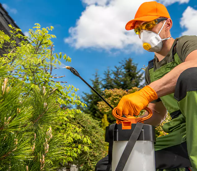 Your Mosquito Repellent Barrier Service in Novi, MI