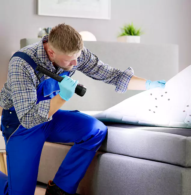 Why Choose Novi Pest Control Pro for Bed Bug Exterminator Cost in Novi, MI?