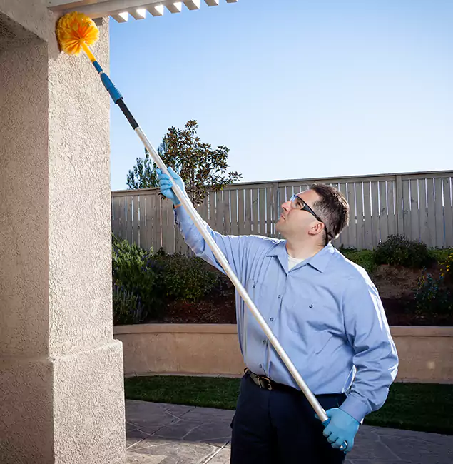 Why Choose Novi Pest Control Pro for Foundation Termite Treatment in Novi, MI?