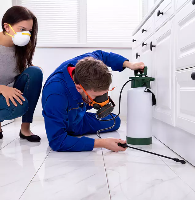 Why Novi, MI Homeowners Trust Novi Pest Control Pro for Roach Control?