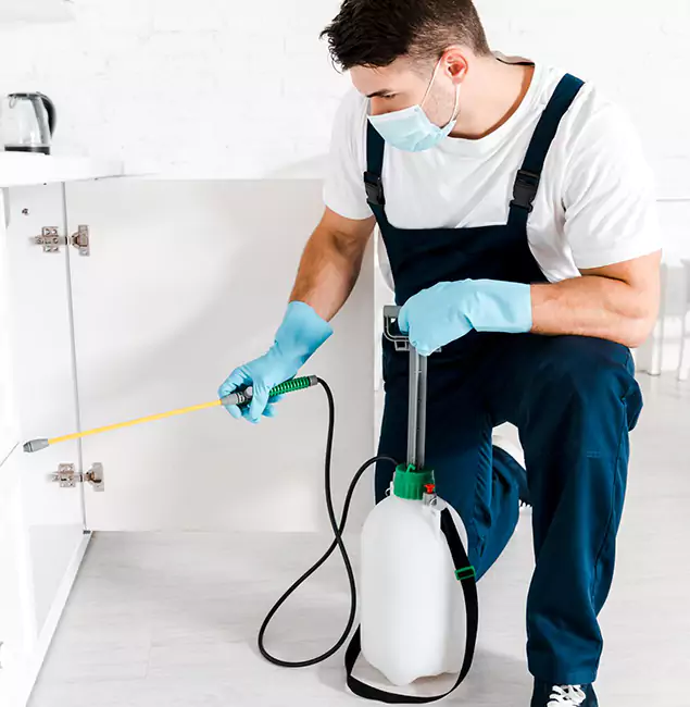 Why Choose Novi Pest Control Pro for Indoor Pest Control in Novi, MI?