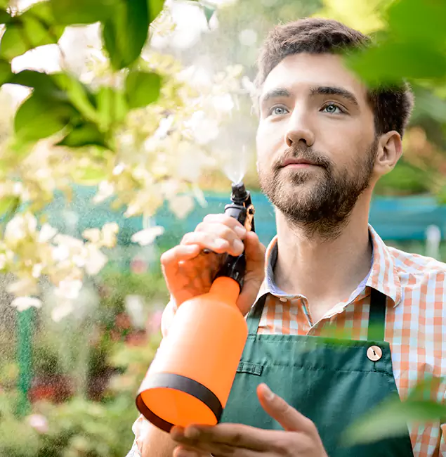 Why Novi Pest Control Pro Is the Best Mosquito Control Company in Novi, MI?