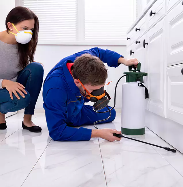 Why Choose Wood Termite Treatment by Novi Pest Control Pro in Novi, MI?