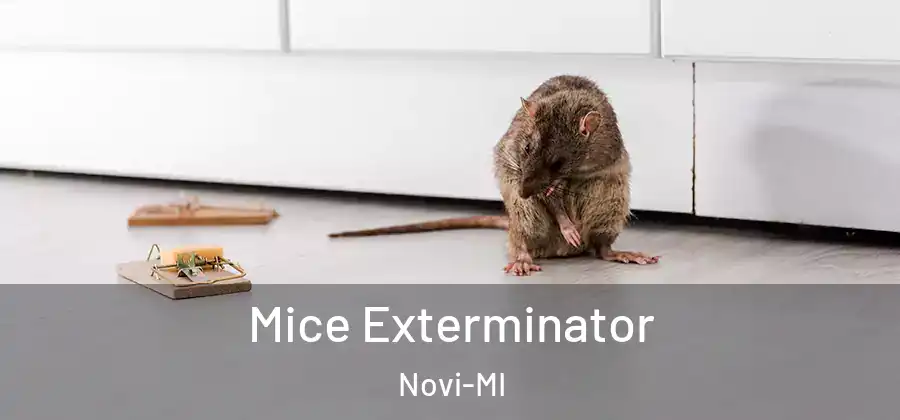  Mice Exterminator Novi-MI