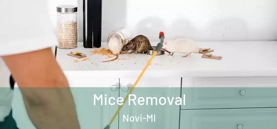 Mice Removal Novi-MI