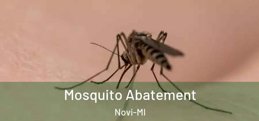 Mosquito Abatement Novi-MI