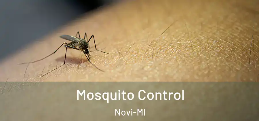 Mosquito Control Novi-MI