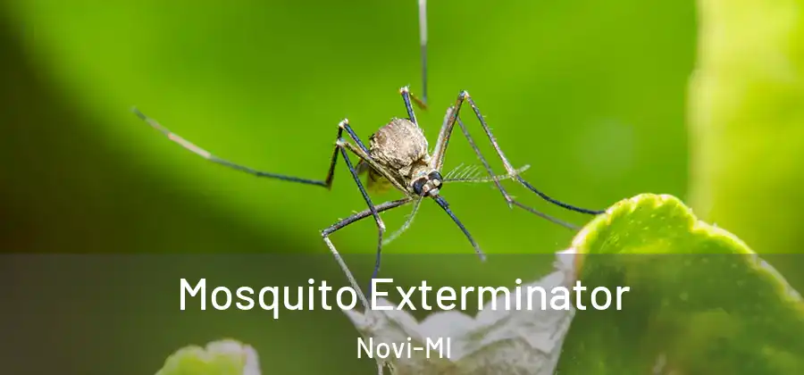 Mosquito Exterminator Novi-MI