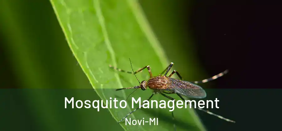 Mosquito Management Novi-MI